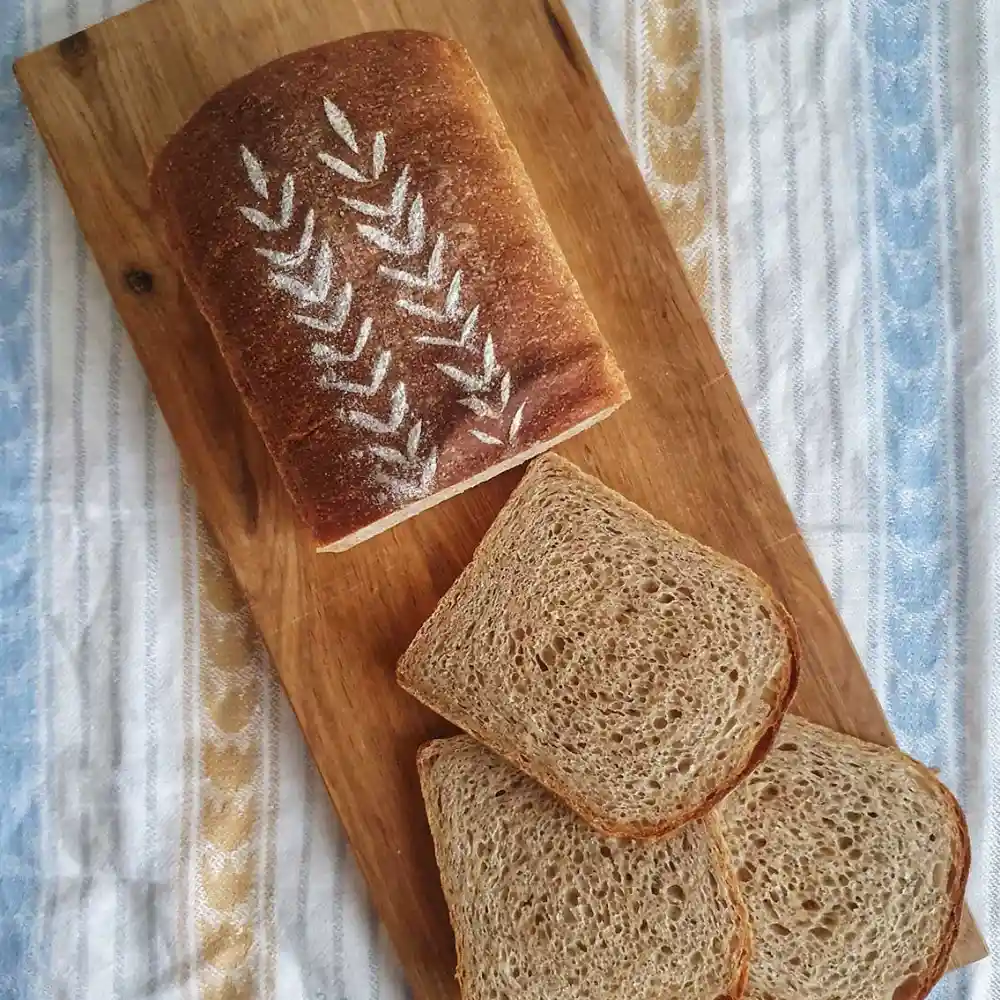 Wholemeal toast made with landrace wheat